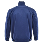 Bluza szwedzka LION - tył